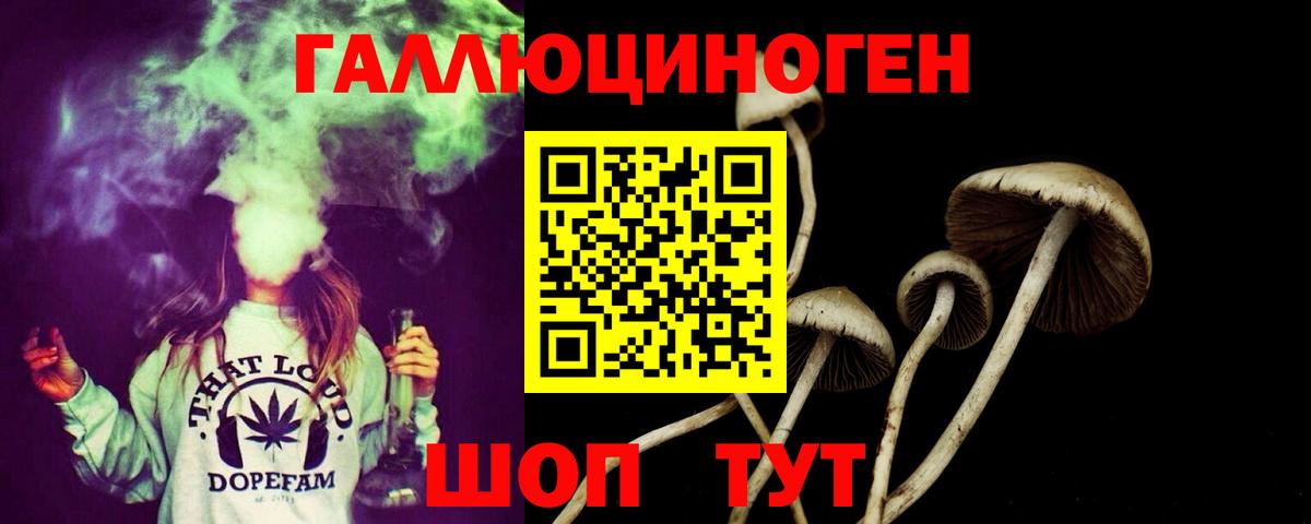 Псилоцибиновые грибы MAGIC MUSHROOMS Ефремов
