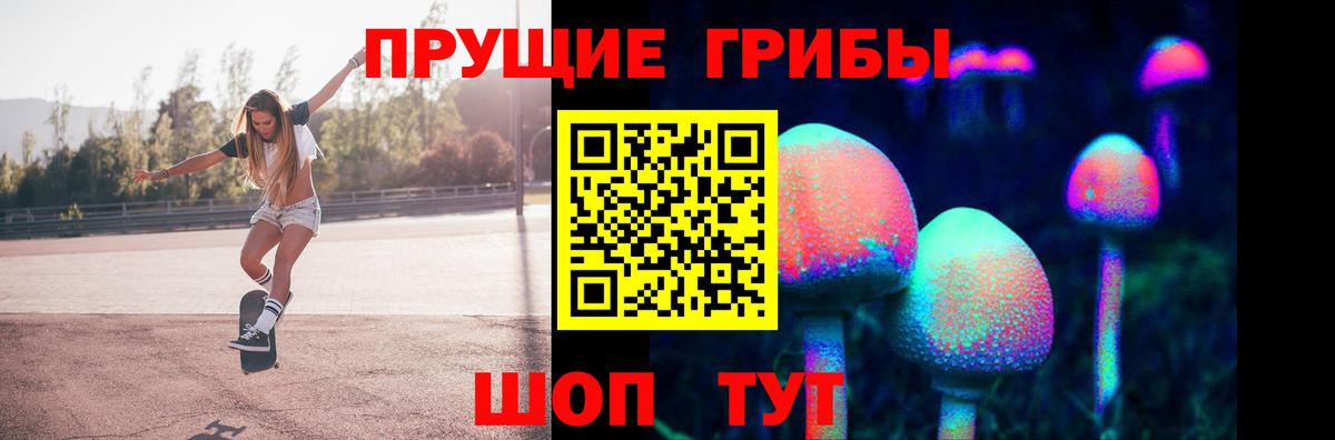 Ефремов  Галлюциногенные грибы Magic Shrooms  Вход с VPN 
